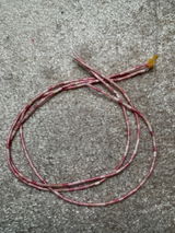 Blaise review photo