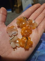 Garnet review photo