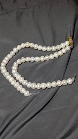 Berenice review photo