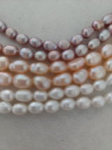 Lizeth review photo