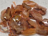 Cedrick review photo