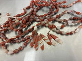 Kenyon review photo