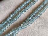 Eugenia review photo