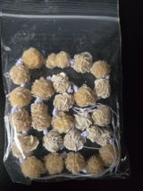 Melisa review photo