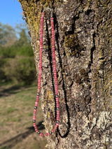 Assunta review photo