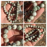 Angelina review photo