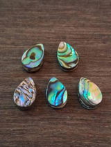 Elvie review photo