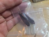 Alexane review photo
