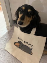 チビラテ、チビモカのおとん review photo