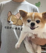 スニフ review photo