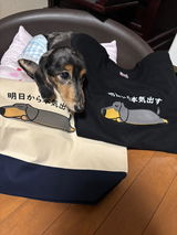 匿名 review photo