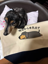 匿名 review photo