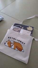 なおちゃん review photo