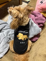 美和子 review photo
