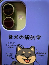 修 review photo