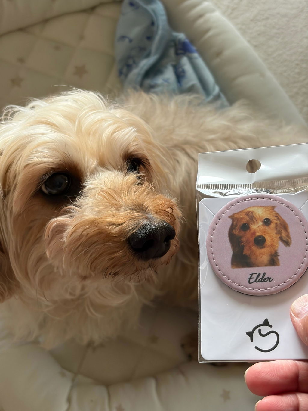 【名入れ対応】ペット写真キーホルダー｜犬・猫オリジナル写真入り｜うちの子グッズ・誕生日ギフトに人気 | Inujoy