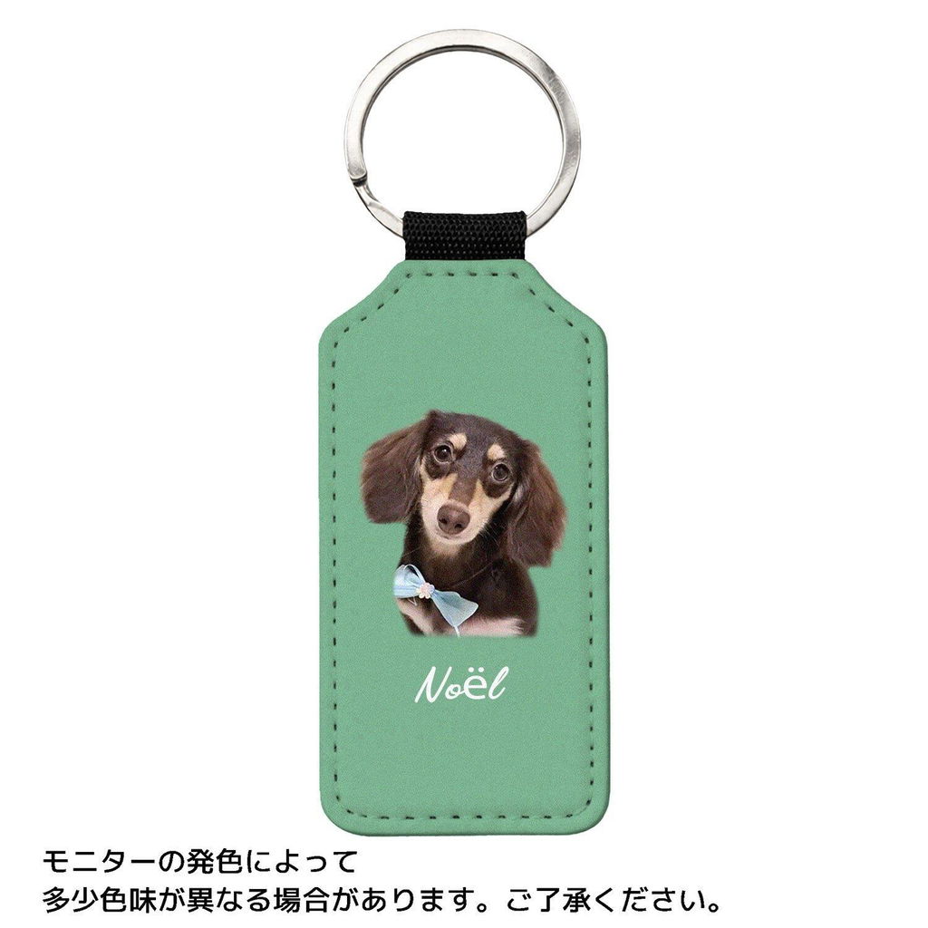InuJoy