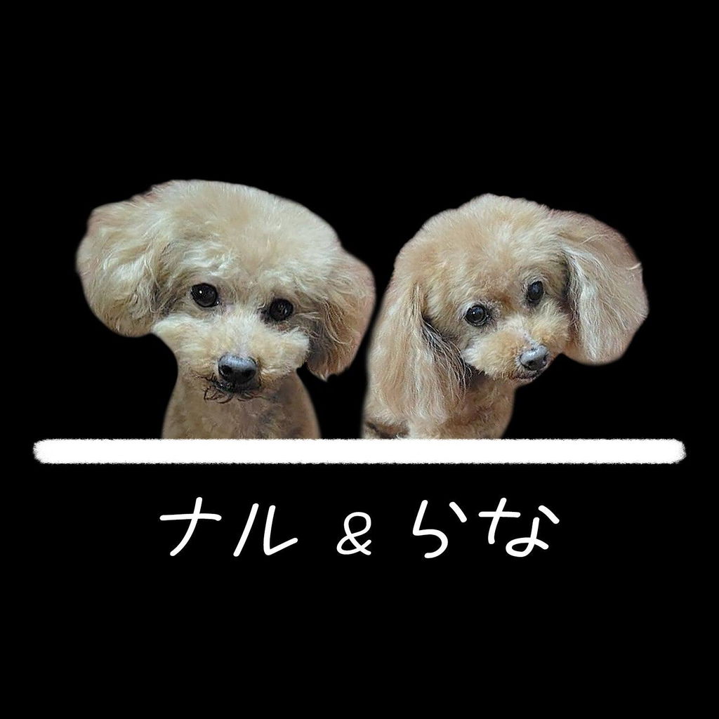 InuJoy