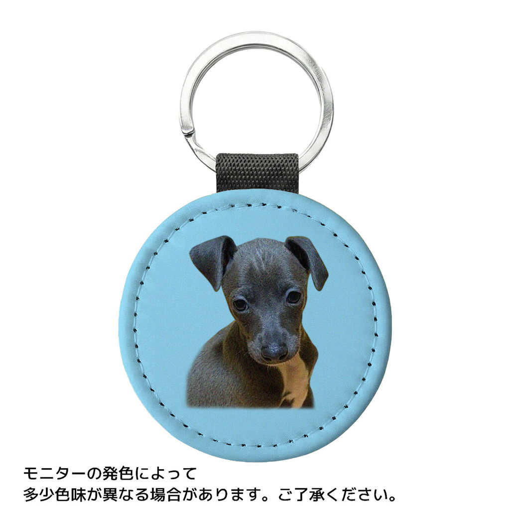 InuJoy