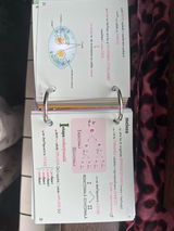Selyna review photo