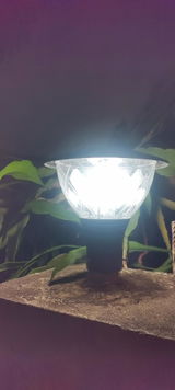 Y S Raibagi review photo