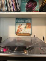 Handcrafted Wooden Vinyl Record Wall Mount | Top Text Design