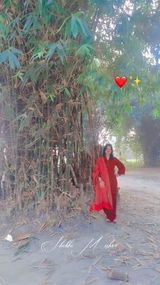 Shobhi review photo