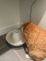 Jack review photo