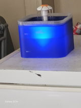 Joyannmadd review photo