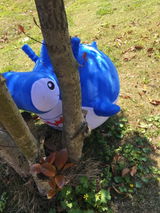 Regena Pickett review photo