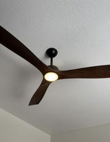 Koley review photo
