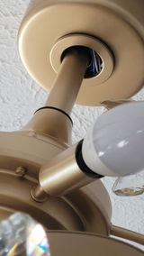 Diana review photo