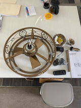 Riggie review photo