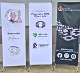 Spider Banner