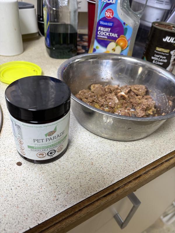French bulldog (Verified Purchaser) review photo
