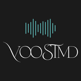 VooSTmd Vladimir review photo