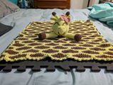 Etsy customer review photo