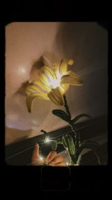 Rapunzel glow | DIY Kit