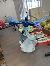 Noah S review photo