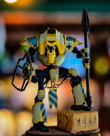 corey shover review photo