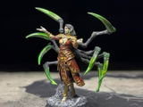 Franck Braccio review photo