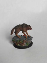 Bartosz Bełdycki review photo
