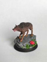 Bartosz Bełdycki review photo