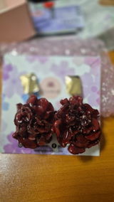 Aretes Clavel Rojo