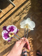 Peineta Orquídea Blanca