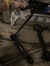 Wright Gemma review photo
