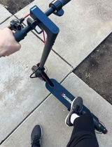 Thouvenin review photo