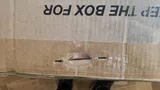 Eliza H. review photo