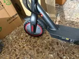 Birdie K. review photo
