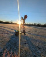 Marcin N. review photo